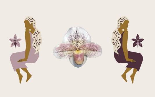 ✧ Gemini Season Ritual: “Awaken the Dual Light” ✧