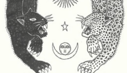 Leo Full Moon Guided Meditation ⋆.˚ ᡣ𐭩 .𖥔˚ Awakening the Solar Plexus